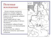 Полезные Ископаемые Западной Сибири